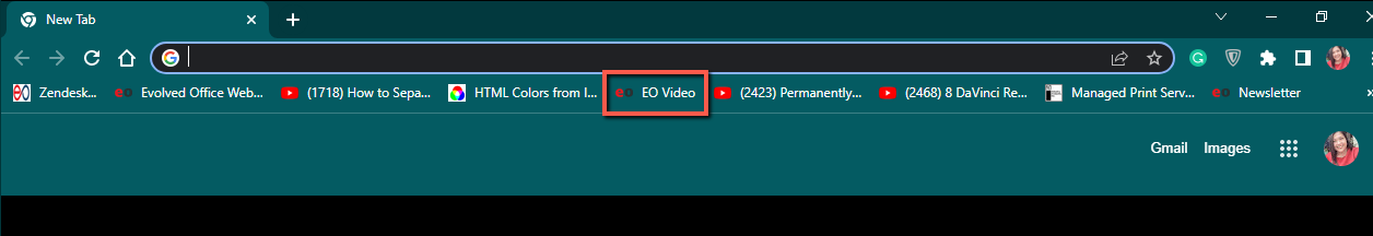 mceclip7.png